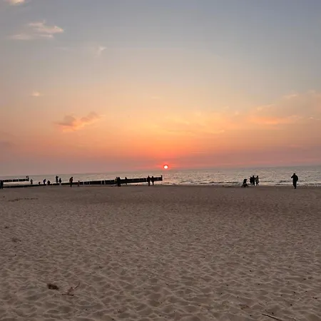 Slona Fala Sianozety