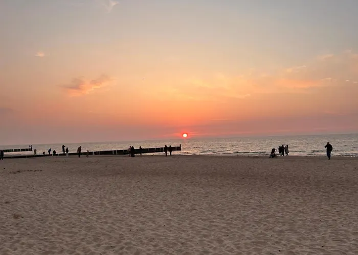 Slona Fala Sianożęty